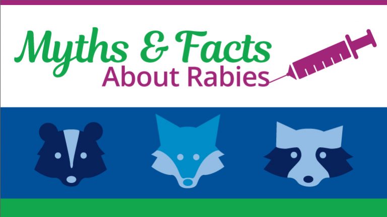 Myths & Facts About Rabies - Total Veterinary Care