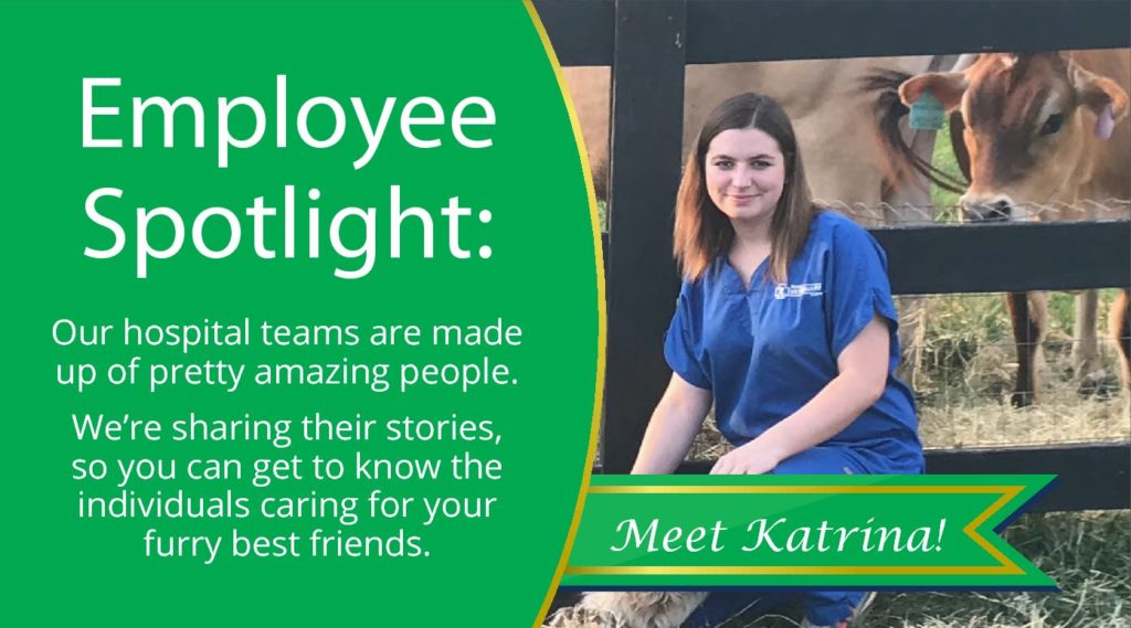 Katrina Featured Employee Graphic