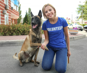Best vets in OH, NY & GA