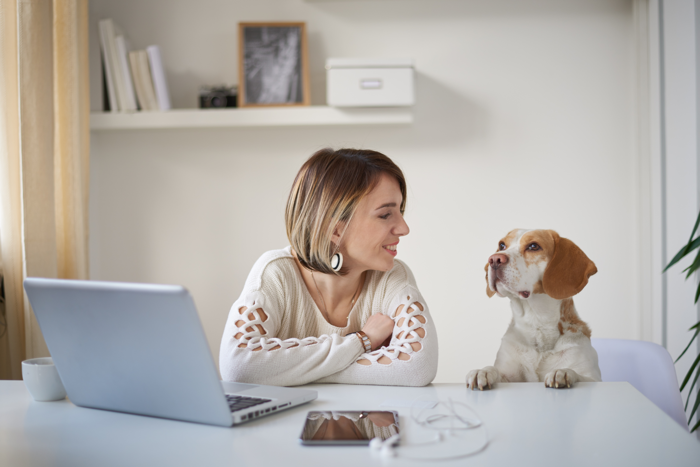 Take Your Dog to Work Day