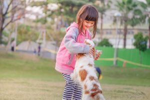 microchip your pet