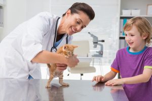 choosing a vet