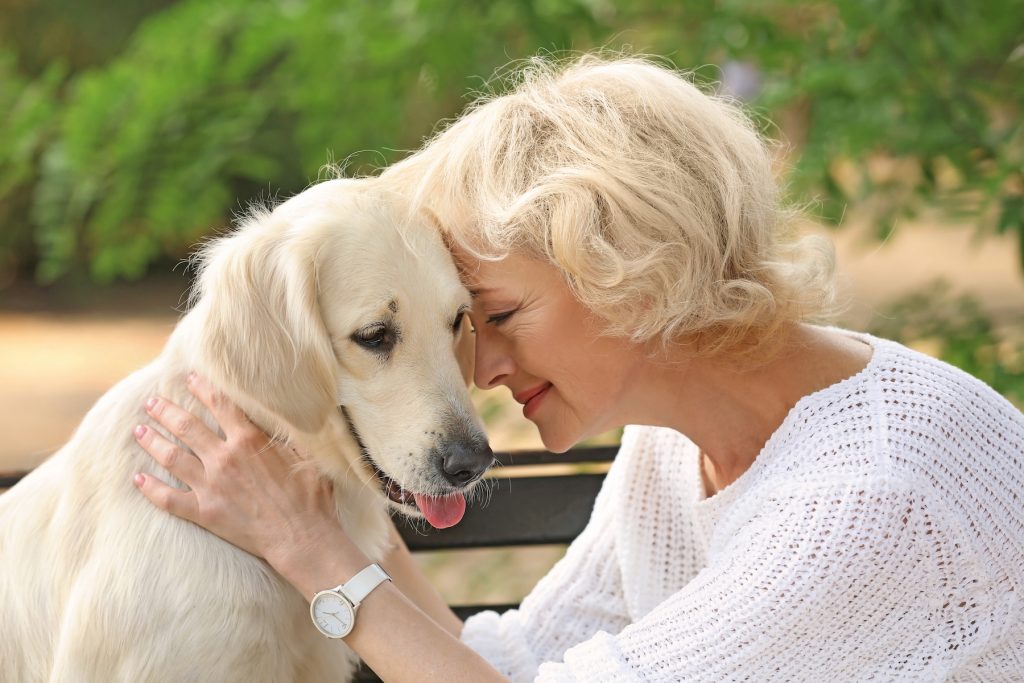 caring for aging pet